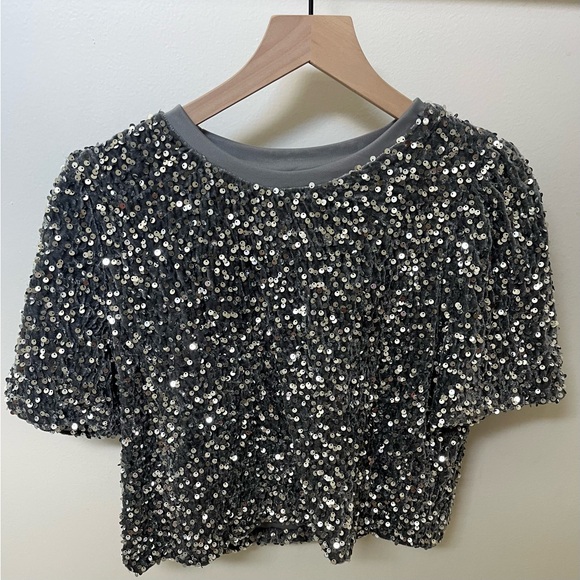 Sequin Embellished Velvet Silver/Gray short sleeve Boxy Gray Top size Medium - Picture 2 of 5